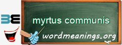 WordMeaning blackboard for myrtus communis